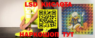 гидра Канаш